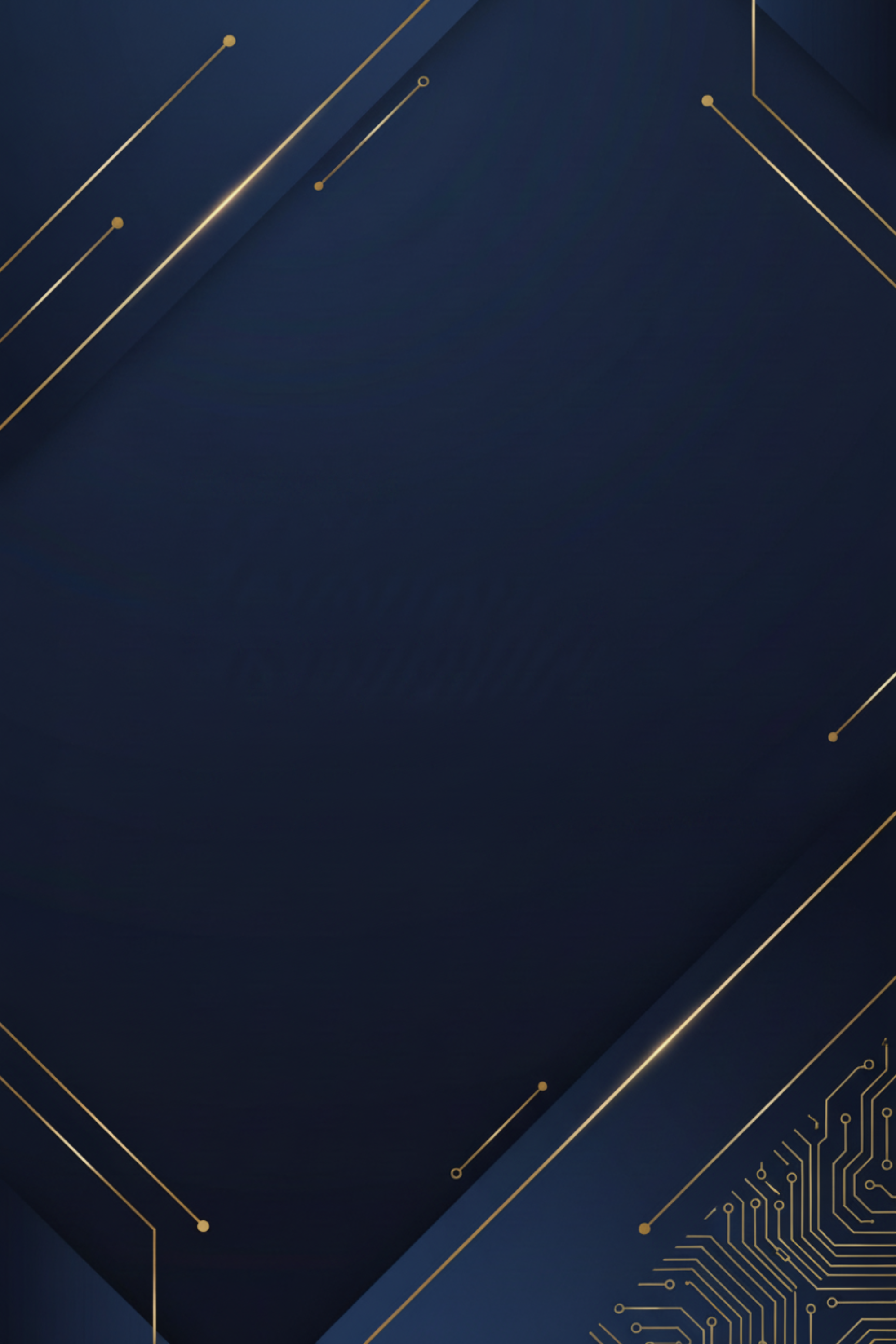 Premium 3-Month Placement Blueprint Cover